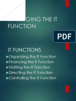 Managing The It Function