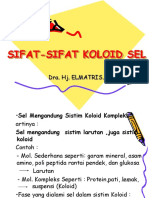 Sistem Koloid Pada Sel