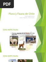 Flora y fauna del norte chico de Chile | PDF | Hogar, jardinería y ...