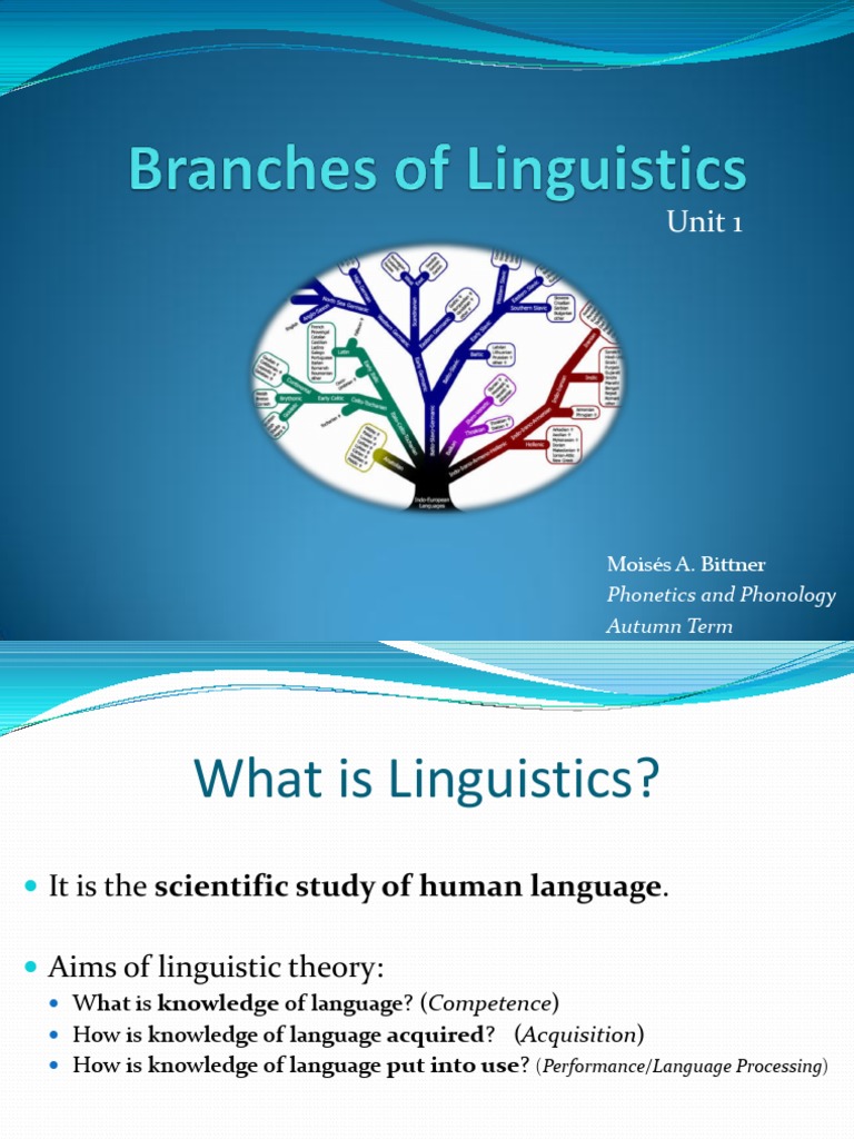 Branches of Linguistics PDF | PDF | Phonology | Phoneme