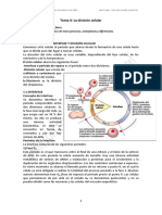 Tema 4 La división celular1.pdf