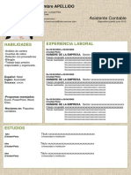 CV PEROFESIONAL.docx