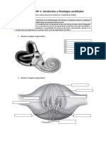 Portafolio Nº 1