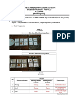 Terbimbing Laporan Praktikum Ipa - Uji Makanan Modul 3