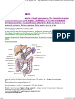 DOTE Anatomy Topics: Skip To Content Skip To Search - Accesskey S