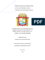 Informe Universidad Nacional Del Altiplano