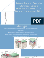 Meninges e Barreira Hemato-Encefalica