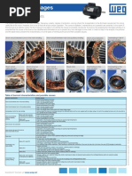 WEG Winding Damages Single Phase Motors 50041274 Brochure English Web