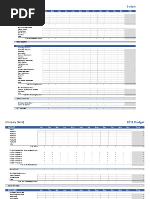 business-budget_12months (1).xlsx