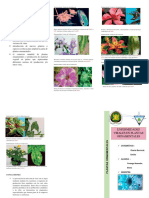 ENFERMEDADES-VIRALES-EN-PLANTAS-ORNAMENTALES.pdf