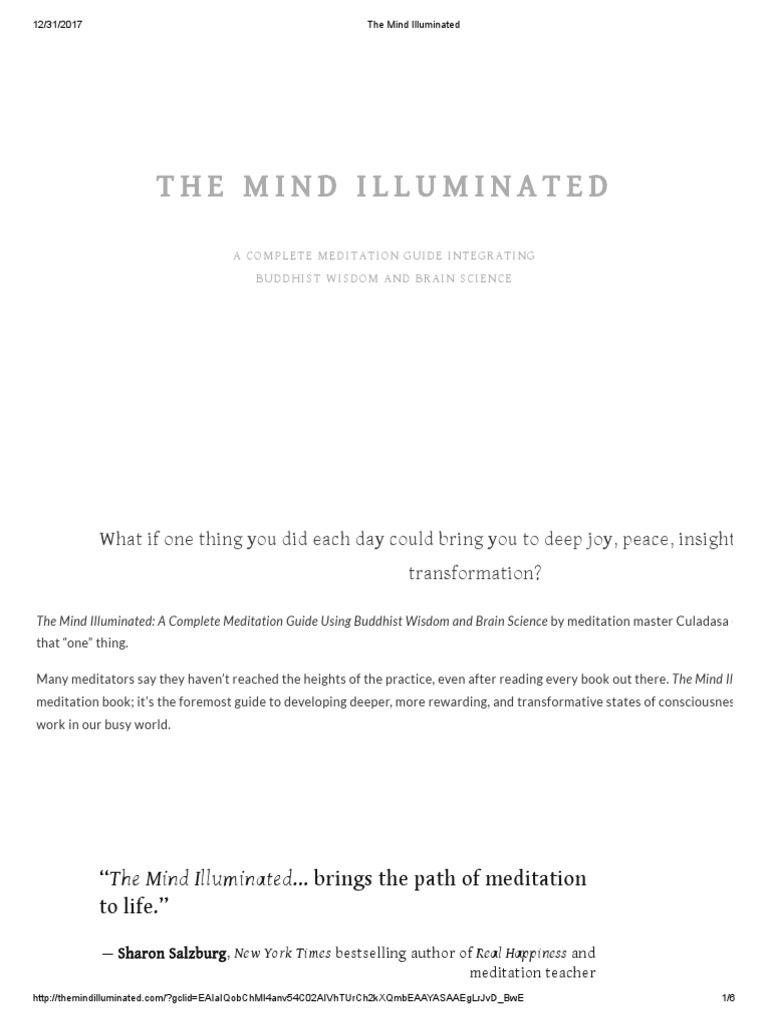 The Mind Illuminated PDF Meditation Mind