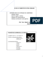 Estómago 18-19 PDF