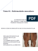 Tema 61. - Enfermedades Musculares Copia 2