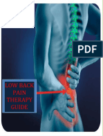 Low Back Pain Therapy Guide