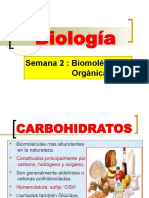 Carbohidratos, Lipidos y Acidos Nucleicos