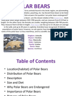 POLAR BEARS-Biology Project