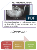 Embarazo Anembrionado