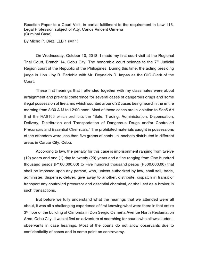 Student court observation report sample picture