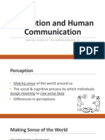 COM101 Lecture 3 Perception 