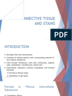 Connective Tissue Stains