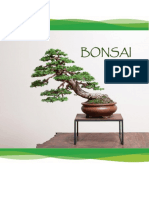 Bonsai Uvod Skripta