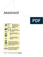 Mastosit - Wikipedia Bahasa Indonesia, Ensiklopedia Bebas PDF