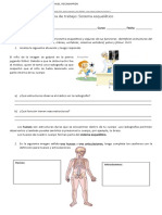 Ficha de Trabajo Sistema Esqueletico