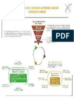 Estructura Gobierno Charagua 1