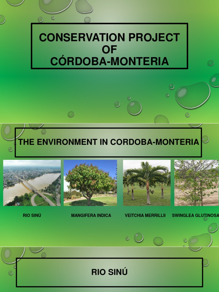 Córdoba-Montería Environmental Conservation | PDF