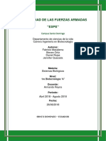 Informe Sistemas Biologicos OSMOSIS