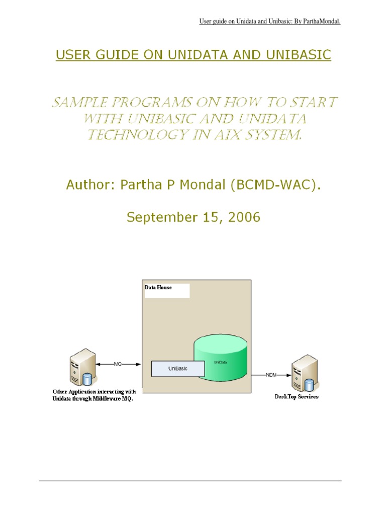 Unidata and Unibasic User Guide | PDF | Array Data Structure | Control Flow