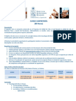 programa curso carpinteria.pdf