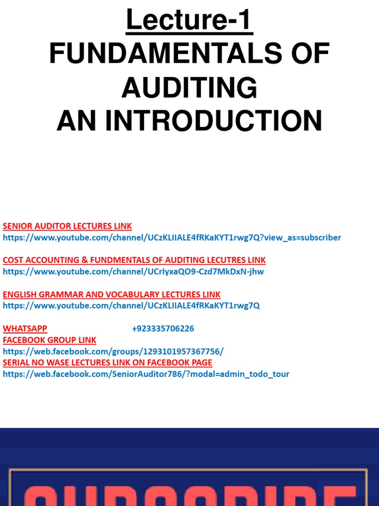 WHAT IS AUDITING A COMPLETE GUIDE TO FINANCIAL AUDITING visual data 6