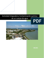 Actividad Integradora; Contaminación Química de Un Cuerpo de Agua