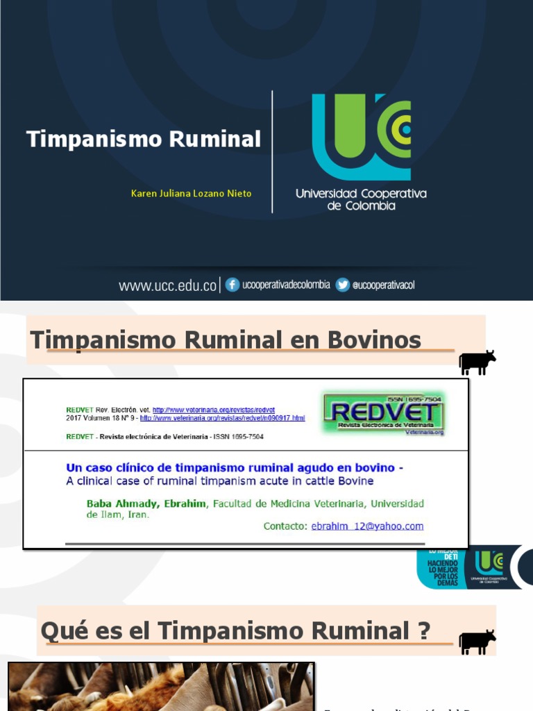 Timpanismo Primario y Secundario. PDF Rumiante Especialidades Medicas