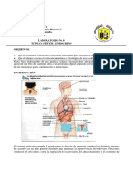guia-8 sistema endocrino.pdf