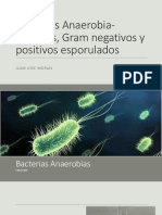 Bacterias Anaerobia-Aerobias, Gram Negativos y