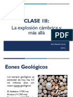 Clase III - Extinciones