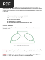 1 - The Basics of Organization