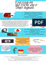 Fisiología Energética Del Reino Agua PDF