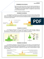 pirc3a1mides-ecolc3b3gicas.pdf