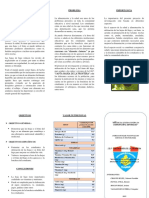 Triptico Beneficios Del Higo