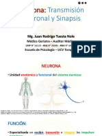 3_Neurona