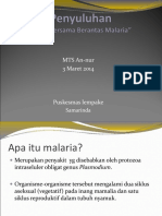 Penyuluhan Malaria