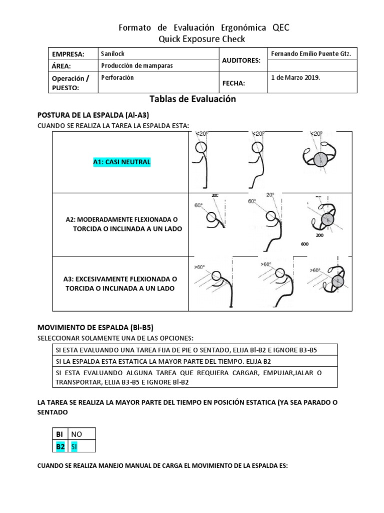 Evaluación Ergonómica QEC Sanilock | PDF | Business