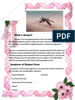 What Is Dengue