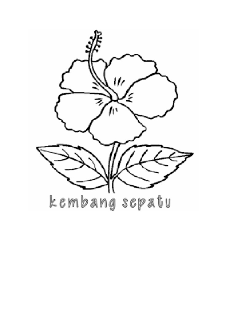 kembang sepatu