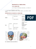 Radiologia de La Cabeza Osea PDF