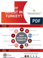 Why Invest in Turkey