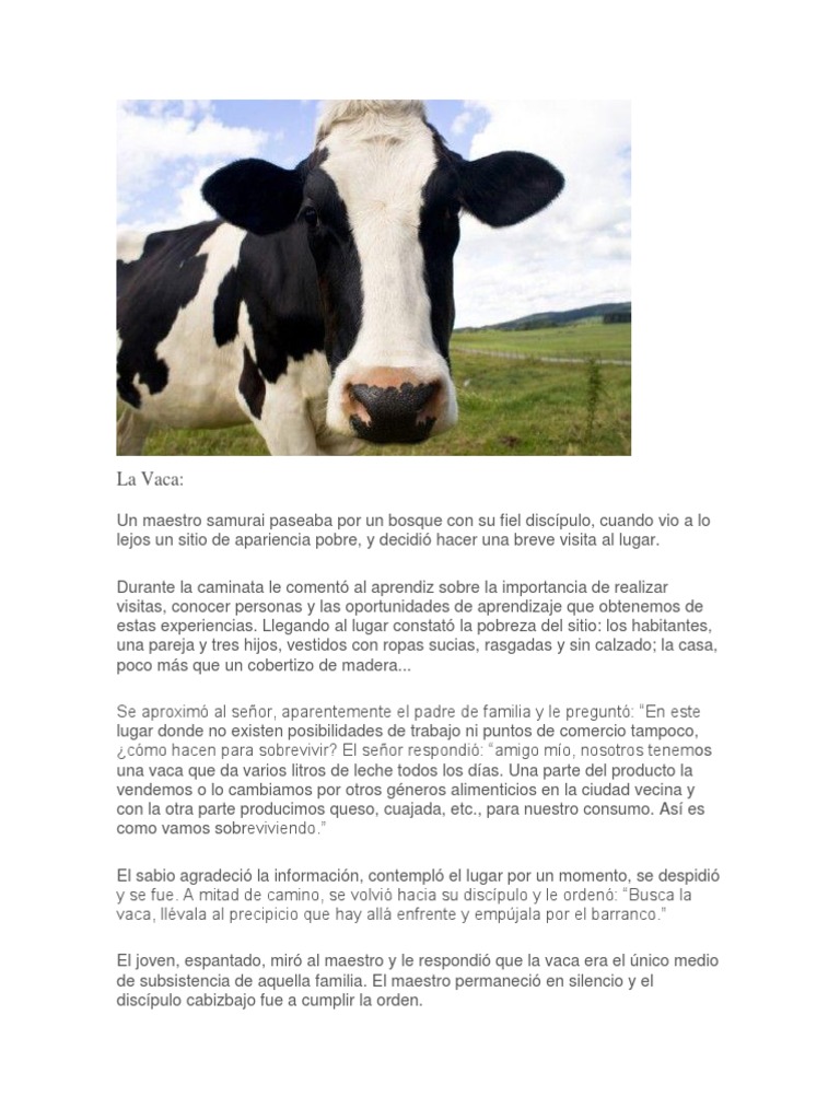 Reflexión sobre la Vaca y el Éxito | PDF | Vacas